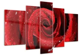 foto-obraz-akrylowy-duzy-tryptyk-krople-na-rozy