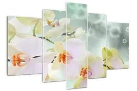 foto-obraz-akrylowy-duzy-tryptyk-biala-orchidea