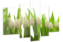 foto-obraz-akrylowy-duzy-tryptyk-biale-tulipany