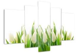 foto-obraz-akrylowy-duzy-tryptyk-biale-tulipany
