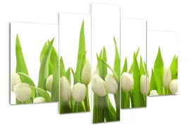 foto-obraz-akrylowy-duzy-tryptyk-biale-tulipany