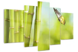 foto-obraz-akrylowy-duzy-tryptyk-bambus-i-motyl