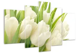 foto-obraz-akrylowy-duzy-tryptyk-biale-tulipany
