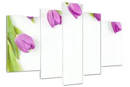 foto-obraz-akrylowy-170x100-fioletowe-tulipany