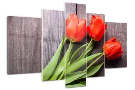 foto-obraz-akrylowy-170x100-czerwone-tulipany