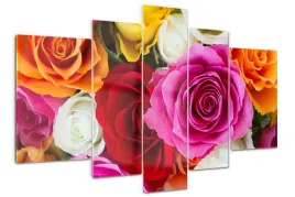 foto-obraz-akrylowy-170x100-duzy-kolorowe-roze