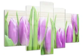 foto-obraz-akrylowy-170x100-fioletowe-tulipany