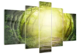 foto-obraz-akrylowy-170x100-duzy-tunel-z-drzew