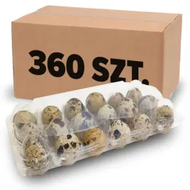 opakowanie-wytlaczanka-na-jajka-jaja-przepiorcze-qps-360-szt