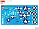 samolot-republic-p-47d-25re-thunderbolt-model-48009-miniart-okres-ii-wojna-swiatowa-produkt-wprowadzony-do-obrotu-na-terenie-ue-przed-13-12-2024-tak