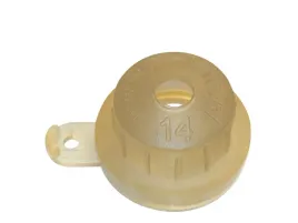 dysza-tynkarska-12-kaleta