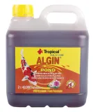 tropical-algin-pond-2000l