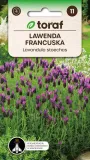 lawenda-francuska-01g-t-styl-ogrod-srodziemnomorski-ogrod-wiejski