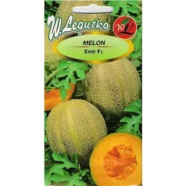 nasiona-melon-seledyn-f1-1g-w-legutko-slodki-smaczny-plenny-na-przetwory