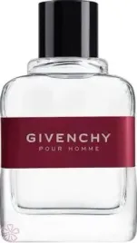 givenchy-pour-homme-edt-100-ml-tester-2024
