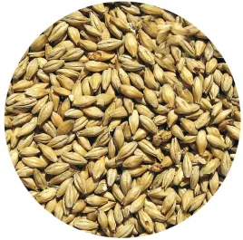 slod-pilzenski-viking-malt-5kg