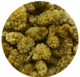 morwa-biala-owoc-suszony-100g