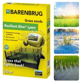 trawa-barenbrug-resilient-blue-uniwersalna-1kg-trawnik-podsiew-regeneracja