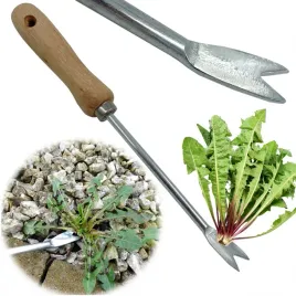 wyrywacz-do-chwastow-opielacz-chwastownik-wyrwichwast-mlecz-chwasty-gr0174