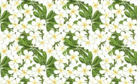 fototapeta-flizelinowa-plumeria-kwiaty-416x254