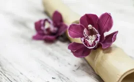 fototapeta-flizelinowa-orchidei-drewno-416x254