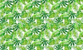 fototapeta-flizelinowa-monstera-palma-416x254