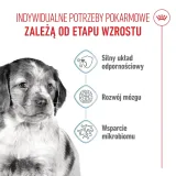royal-canin-medium-puppy-15kg-karmy-specjalne-dla-psow-aktywnych