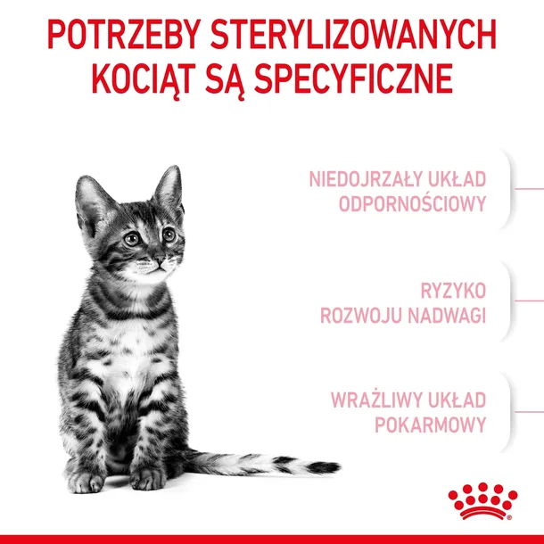 royal-canin-kitten-sterilised-35kg-karmy-specjalne-dla-kotow-sterylizowanych