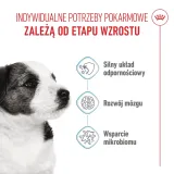royal-canin-mini-puppy-8kg-wiek-zwierzecia-szczenieta-i-mlode-psy