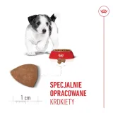 royal-canin-mini-puppy-8kg-karmy-specjalne-nie-dotyczy