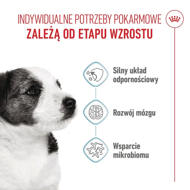 royal-canin-mini-puppy-4kg-wiek-zwierzecia-szczenieta-i-mlode-psy