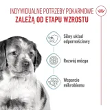 royal-canin-medium-puppy-4kg-karmy-specjalne-dla-psow-z-alergia