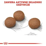 royal-canin-ccn-medium-digestive-care-3kg-rodzaj-karmy-hipoalergiczna