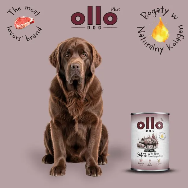 ollo-plus-kolagen-dzik-400g-liczba-sztuk-w-zestawie-1