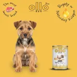 ollo-plus-kolagen-indyk-400g-wiek-zwierzecia-karma-uniwersalna