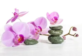 tapeta-flizelinowa-orchidea-spa-152x104