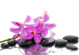 tapeta-flizelinowa-rozowa-orchidea-152x104