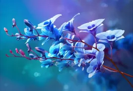 tapeta-flizelinowa-orchidea-niebieski-152x104
