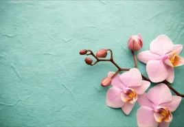 tapeta-flizelinowa-orchidea-rozowy-152x104