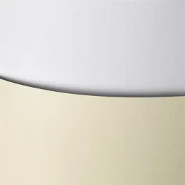 karton-ozdobny-floryda-bialy-20-szt-op-220g-m2