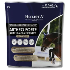 holistaequine-arthro-forte-600g