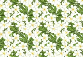 fototapeta-flizelinowa-plumeria-kwiaty-152x104