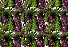 fototapeta-flizelinowa-liscie-monstera-152x104