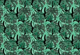 fototapeta-flizelinowa-liscie-monstera-152x104