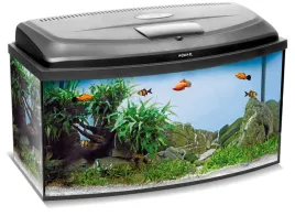 aquael-zestaw-akwarystyczny-classic-box-80-o-dandn