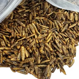 robak-dla-gryzoni-chomika-swinki-szczura-jeza-puffy-caly-suszony-1kg