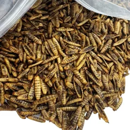 robak-dla-gryzoni-chomika-swinki-szczura-jeza-puffy-caly-suszony-250g