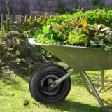 kolo-do-taczki-czarne-stan-nowy