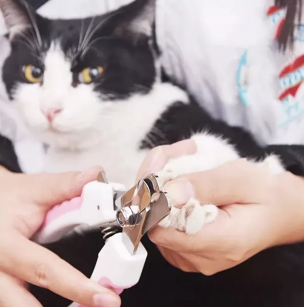 obcinaczki-do-pazurow-dla-psa-sklad-zestawu-obcinaczki-oraz-pilnik