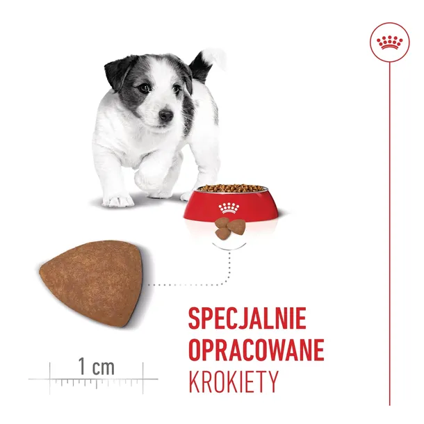 royal-canin-mini-puppy-800g-karmy-specjalne-nie-dotyczy